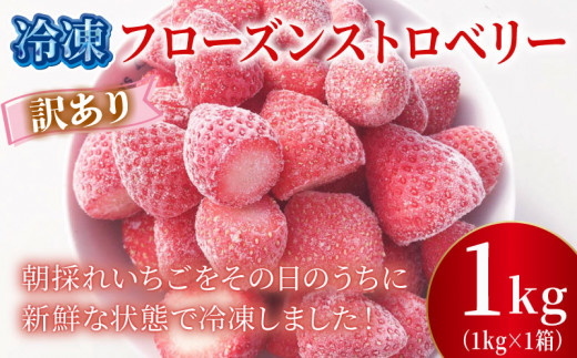 訳あり 冷凍 いちご 1kg フローズン ストロベリー 産地直送 ご当地 苺 果物 くだもの フルーツ デザート よつぼし 紅ほっぺ かおり野 恋みのり おいCベリー 食品 げんき農場 埼玉県 羽生市