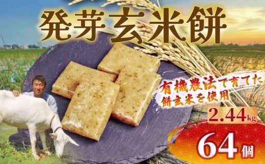 餅 発芽 玄米 64個 2.44kg 12月以降順次配送 個包装 国産 おもち 備蓄 防災 お中元 小分け レンジ オーブン 簡単調理 有機 不耕起栽培 健康 食品 発芽玄米餅 埼玉県 羽生市 雨読晴耕村舎