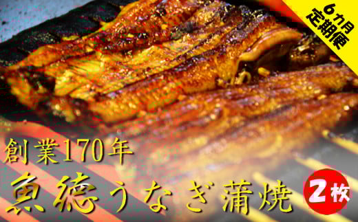 定期便 うなぎ 6回 蒲焼 2尾 セット 真空 小分け 丑の日  創業 170年 魚徳 冷蔵 6ヶ月 お届け 鰻