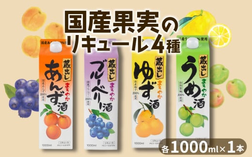 リキュール 4本 セット 果実酒 飲み比べ 大人買い 梅 ゆず ブルーベリー あんず プレゼント 女子会 デザート酒 お歳暮 蔵出し