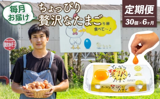 【定期便6回】こだわり たまご 30個 (10個×3パック) 新鮮 平飼い 卵 埼玉県 羽生市 送料無料