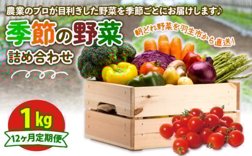 定期便 季節 野菜 詰め合わせ 1kg 12ヶ月 連続お届け 果物 産地直送 朝どれ フルーツトマト ほうれんそう 白菜 キャベツ ブロッコリー そら豆 ヤングコーン とうもろこし 枝豆 ピーマン 唐辛子 パプリカ 水 ナス オクラ キュウリ カリフローレ とれたて  濃厚 ごほうびとまと 株式会社風の子ファーム 埼玉県 羽生市