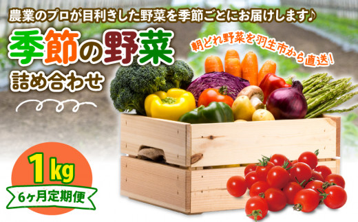 定期便 季節 野菜 詰め合わせ 1kg 6ヶ月 連続お届け 果物 産地直送 朝どれ フルーツトマト ほうれんそう 白菜 キャベツ ブロッコリー そら豆 ヤングコーン とうもろこし 枝豆 ピーマン 唐辛子 パプリカ 水 ナス オクラ キュウリ カリフローレ とれたて  濃厚 ごほうびとまと 株式会社風の子ファーム 埼玉県 羽生市