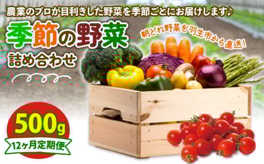 定期便 季節 野菜 詰め合わせ 500g 12ヶ月 連続お届け 果物 産地直送 朝どれ フルーツトマト ほうれんそう 白菜 キャベツ ブロッコリー そら豆 ヤングコーン とうもろこし 枝豆 ピーマン 唐辛子 パプリカ 水 ナス オクラ キュウリ カリフローレ とれたて  濃厚 ごほうびとまと 株式会社風の子ファーム 埼玉県 羽生市
