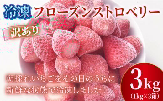 訳あり 冷凍 いちご 3kg フローズン ストロベリー 産地直送 ご当地 苺 果物 くだもの フルーツ デザート よつぼし 紅ほっぺ かおり野 恋みのり おいCベリー 食品 げんき農場 埼玉県 羽生市