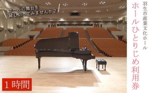 羽生市 産業文化 ホール ホールひとりじめ利用券 【※お1人様2枚まで】体験 舞台貸し切り券 日時 限定