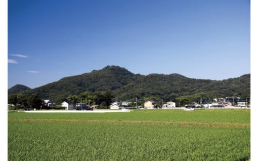 ２１. 金山再生プロジェクトの事業応援※返礼品なしの場合のみ選択可能