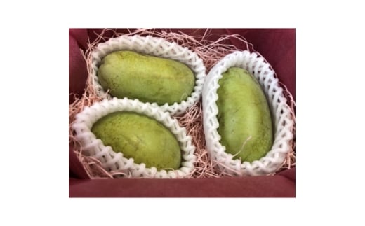 ポポー 1.5kg【1666013】