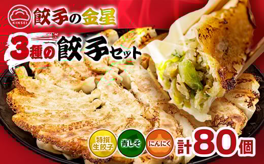 ＜餃子の金星＞3種の餃子80個入り 特撰生餃子と2種類(青じそ・にんにく)が味わえるセット タレ付!_餃子 冷凍 美味しい 人気 おすすめ 送料無料 ご当地 グルメ【1208344】
