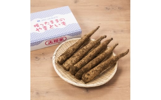 掘ったままの大和芋　約2kg×2ケース【1210036】