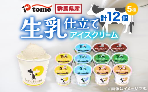 群馬県太田市 生乳仕立てアイスクリーム 12個セット_アイスクリーム スイーツ デザート 美味しい 冷凍 人気 おすすめ 送料無料 ギフト 贈答 プレゼント 東毛酪農【1223043】