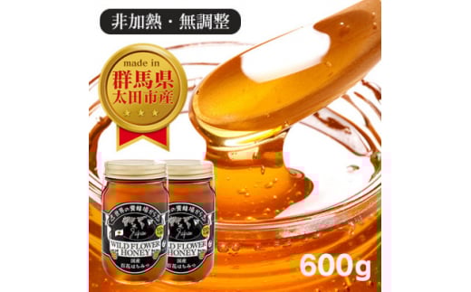 国産 おおたはちみつ 300g×2個セット【1301544】