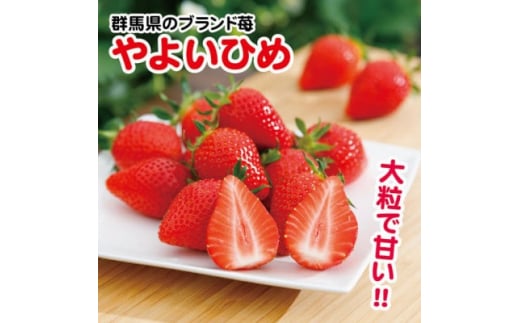 ＜2026年2月以降順次発送＞群馬県産やよいひめ　(いちご)260g×8パック【1378623】