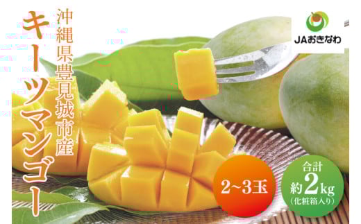 【2026年8月より順次発送】菜々色畑のキーツマンゴー 2~3玉(約2kg)【化粧箱】|沖縄県 豊見城市 マンゴー キーツマンゴー フルーツ 果物 くだもの おきなわマンゴー 先行予約 ギフト 贈り物 化粧箱入り 先行予約(AE015)