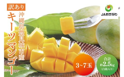 【2026年8月より順次発送】【訳あり】菜々色畑のキーツマンゴー 3~7玉(約2.5kg)(白箱)ご家庭用|訳あり わけあり 訳アリ キーツマンゴー マンゴー キーツ フルーツ 果物 くだもの おきなわマンゴー 家庭用 沖縄県 豊見城市(AE017)