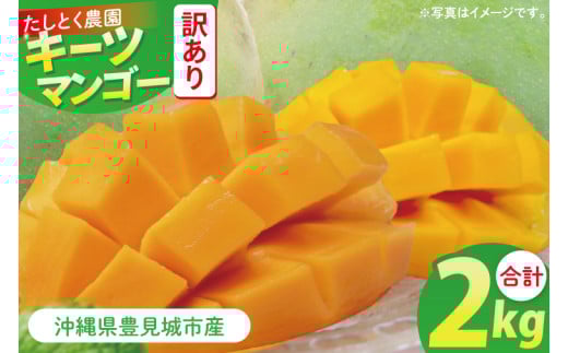 [2025年8月より順次発送]★訳あり★沖縄県豊見城市産キーツマンゴー 約2kg|マンゴー キーツマンゴー 訳あり わけあり フルーツ くだもの 果物 数量限定 おきなわ 沖縄 沖縄フルーツ 豊見城市