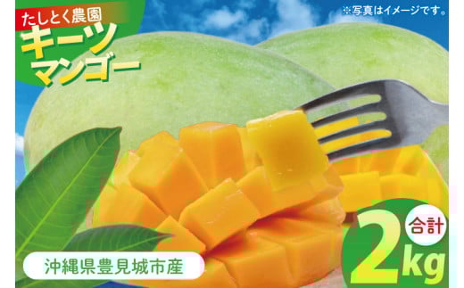 [2025年8月より順次発送]沖縄県豊見城市産キーツマンゴー 約2kg|マンゴー キーツマンゴー フルーツ くだもの 果物 数量限定 おきなわ 沖縄 沖縄フルーツ 沖縄県 豊見城市