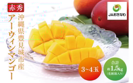 【2026年6月より順次発送】菜々色畑の赤秀アーウィンマンゴー 3～4玉(約1.5kg)(化粧箱)｜沖縄県 豊見城市 マンゴー アーウィンマンゴー フルーツ 果物 くだもの おきなわマンゴー ギフト 贈り物 化粧箱入り 先行予約(AE003)