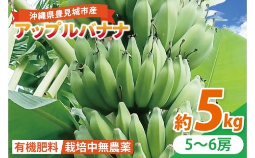 アップルバナナ 約5kg｜バナナ ばなな アップルバナナ フルーツ くだもの 果物 沖縄フルーツ 有機肥料 沖縄 沖縄県 豊見城市(DL004)