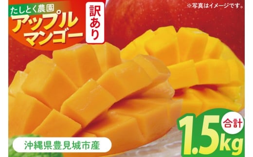 【2026年6月下旬より順次発送】★訳あり★沖縄県豊見城市産アップルマンゴー 約1.5kg|マンゴー アップルマンゴー 訳あり わけあり フルーツ くだもの 果物 先行予約 数量限定 おきなわ 沖縄 沖縄フルーツ 豊見城市(DJ006)