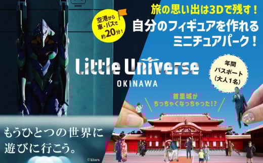 Little Universe 年間パスポート (大人1 名)(AJ005)