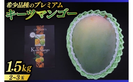 【2026年8月より順次発送】稀少プレミアム!!豊見城市産キーツマンゴー 約1.5kg(2〜3玉)|マンゴー キーツマンゴー フルーツ 果物 くだもの 先行予約 沖縄 おきなわ 沖縄県 豊見城市(BV001-1)