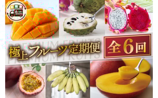 【6回定期便】豊見城 極上フルーツ定期便(全6回)|フルーツ くだもの 果物 沖縄フルーツ マンゴー バナナ パッションフルーツ アテモヤ アップルマンゴー ドラゴンフルーツ キーツマンゴー 定期便 フルーツ定期便 沖縄県 豊見城市 人気 送料無料(AC023)