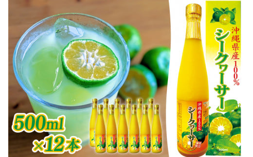 沖縄県産100％シークヮーサー12本(AS010-1)