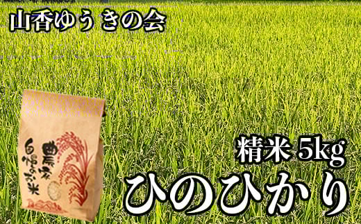 【 令和7年産 新米 】山香ゆうきの会の米 5kg(精米:ひのひかり) 新米 5kg 米 <002-004>