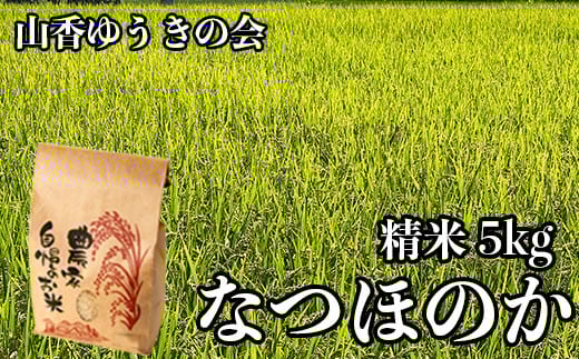 【 令和7年産 新米 】山香ゆうきの会の米 5kg(精米:なつほのか) 新米 5kg 米 <002-010>
