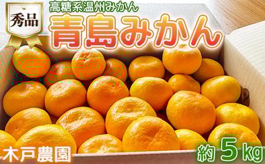 高糖系温州みかん 木戸農園の青島 約5kg （秀品） 先行予約 柑橘類 フルーツ 1月 2月 ＜113-019＞