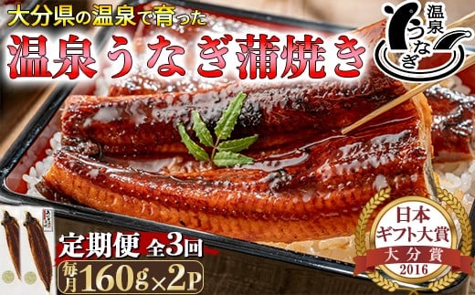 <定期便(毎月)全3回>温泉うなぎ蒲焼 2尾(160gサイズ) <104-802>