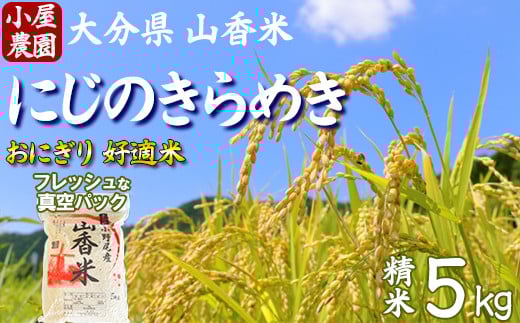 【 新米 先行予約 】小屋農園の米 5kg 真空パック (精米:にじのきらめき) 令和7年 <159-005>