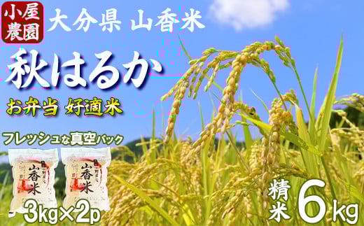 【 新米 先行予約 】小屋農園の米 6kg 真空パック(精米:秋はるか) 令和7年 <159-020>