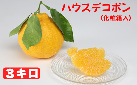 ハウスデコポン 約3kg(化粧箱入) / みかん ミカン 蜜柑 柑橘類 デコポン 不知火 3kg 先行予約 フルーツ <132-003>