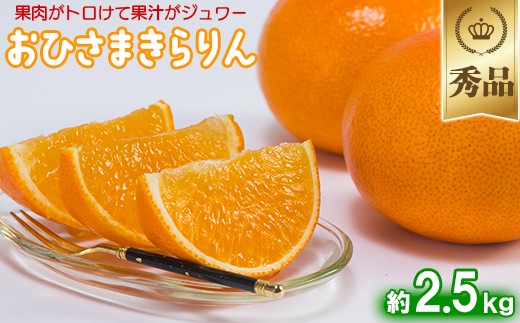 今村農園のおひさまきらりん 約2.5kg【秀品】  甘い オレンジ みかん ミカン 清美 2.5kg 12月発送 1月発送 先行予約 贈答 柑橘類 フルーツ <107-024_6>