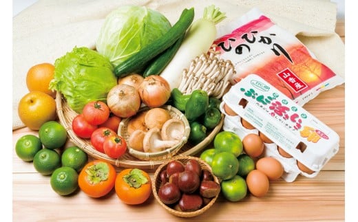 杵築で収穫された季節の野菜・果物・お米(山香米2kg)・玉子(L10個)の詰合わせセット<105-018_5>