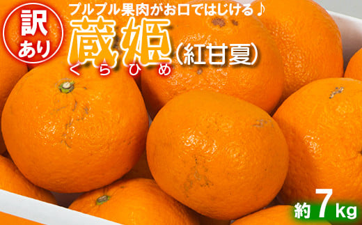 【訳あり・優品】今村農園の「蔵姫くらひめ(紅甘夏) 約7kg」 先行予約 7kg 2026年 3月発送 4月発送 わけあり 柑橘類 みかん ミカン フルーツ <107-030_7>