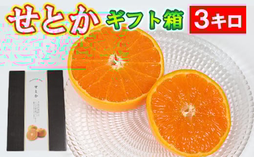 せとか  約3kg(化粧箱入) / ミカン みかん 蜜柑 柑橘類 せとか 3kg 先行予約 フルーツ <132-007>