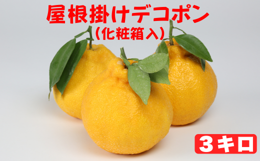 屋根掛けデコポン 約3kg(化粧箱入) / ミカン みかん 蜜柑 柑橘類 デコポン 不知火 3kg 屋根掛け 先行予約 フルーツ <132-006>