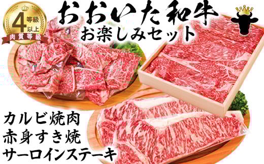 おおいた和牛 お楽しみセット（カルビ焼肉・赤身すき焼き・サーロインステーキ）【ニード牧場】 お楽しみ 黒毛和牛 豊後牛 牛肉 お肉 赤身 霜降り すき焼き すきやき ステーキ しゃぶしゃぶ 焼き肉 カルビ サーロイン セット キャンプ バーベキュー 国産 年内発送 ＜129-015_5＞