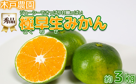 極早生みかん!木戸農園のおおいた早生 約3kg(秀品) ミカン みかん 柑橘 3kg 先行予約 9月 フルーツ 温州 [113-011_5]