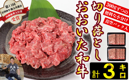 おおいた和牛切り落とし3kg(300g×10p) ※真空パック [匠牧場] 牛肉 切り落とし すき焼き 牛 小分け 和牛 おすすめ 国産 おおいた和牛 おおいた和牛 バーベキュー 生産者応援の品 スピード発送 スピード [102-004_5]