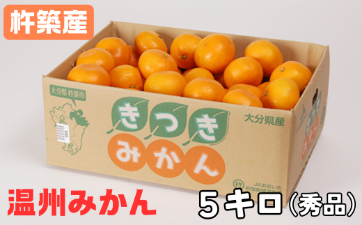 杵築産 温州みかん5kg(秀品) / ミカン みかん 蜜柑 柑橘類 5kg 11月 12月 1月 先行予約 温州みかん フルーツ <132-001>