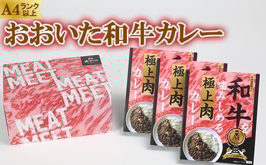 杵築産おおいた和牛カレー３食セット（レトルトカレー） ＜120-001_5＞
