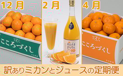 今村農園の訳ありミカンとジュースの定期便(12月・2月・4月)【たっぷりコース】<107-802_7>