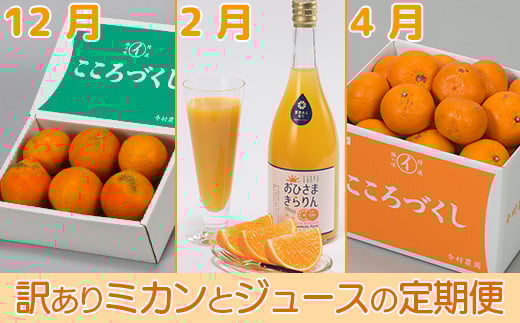 今村農園の訳ありミカンとジュースの定期便(12月・2月・4月)【まんぞくコース】<107-801_7>