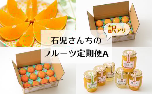 野菜ソムリエ石児さんの訳ありフルーツ定期便A(1月・2月・3月・4月) ミカン みかん 蜜柑 柑橘類 定期便 訳あり 先行予約 せとか アンコール 1月 2月 3月 4月 フルーツ <103-801>