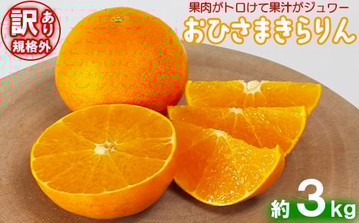 [訳あり・規格外品]今村農園の「おひさまきらりん 約3kg」 先行予約 3kg 12月発送 1月発送 わけあり 柑橘類 フルーツ [107-017_7]