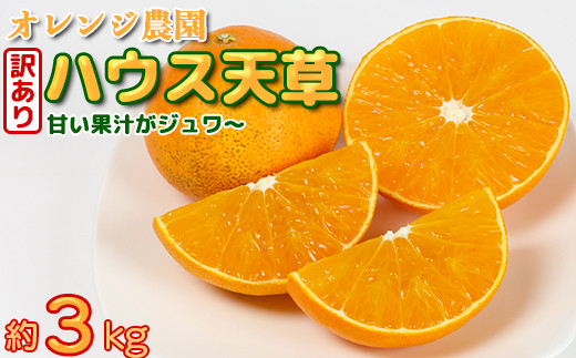 [訳あり・規格外品]九州のオレンジ「ハウス天草」約3〜3.3kg みかん ミカン オレンジ 訳あり 先行予約 柑橘類 11月 12月 [114-003_5]